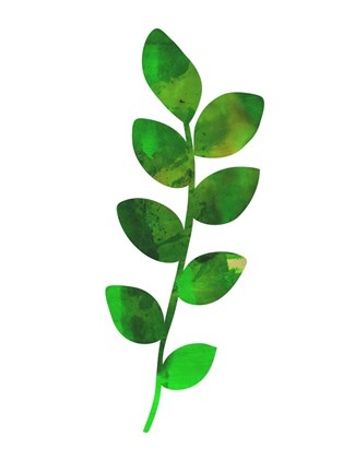 Framed Zamioculcas Leaf Print