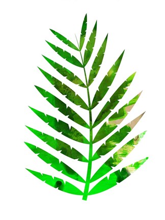 Framed Tropical Leaf Print