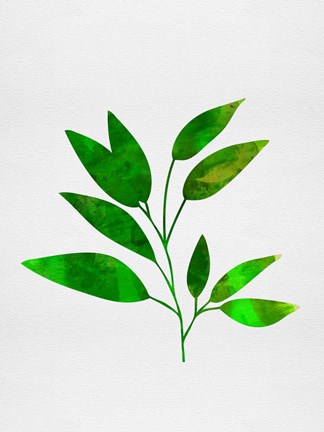 Framed Leaf Branch Print