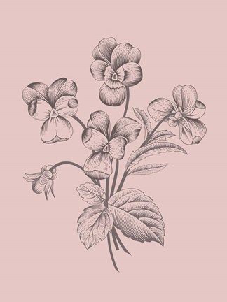 Framed Violet Blush Pink Flower Print