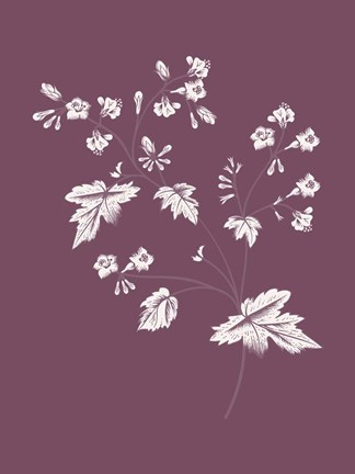 Framed Phacelia Purple Flower Print