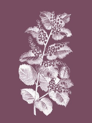 Framed Cerasus Purple Flower Print