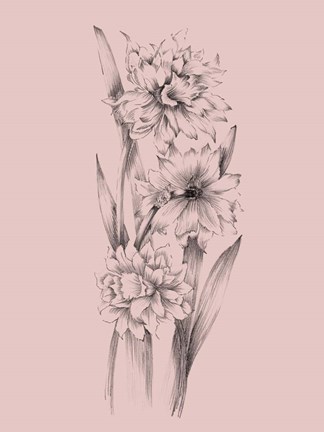Jasmine Flower Botanical Print Minimal Line Art Printable Wall Art Digital  Download Floral Print - Etsy