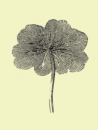 Framed Floating Leaf II Print