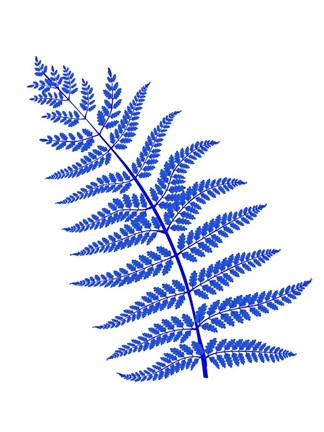 Framed Blue Leaf Plant Print