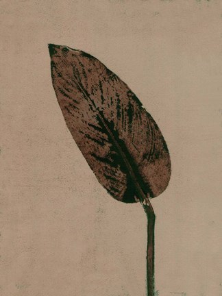 Framed Calathea Brown Print