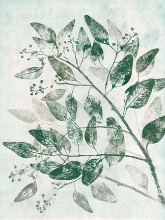 Framed Eucalyptus 1 Green Print