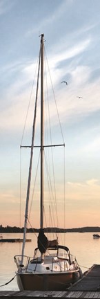 Framed Docked II Print