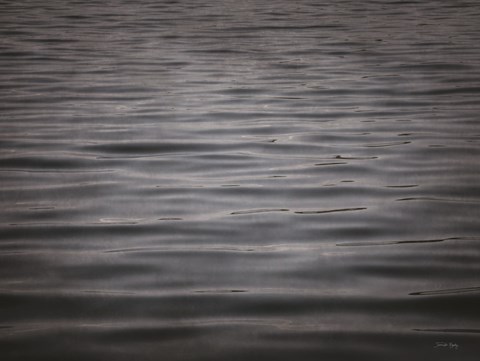 Framed Lake Swimming Print