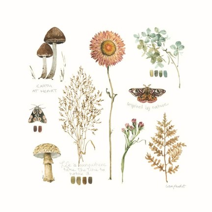 Framed Season's Study IX Print