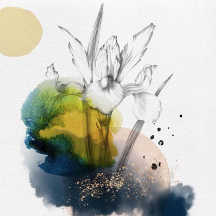 Framed Abstract  Flower Watercolor Composition I Print