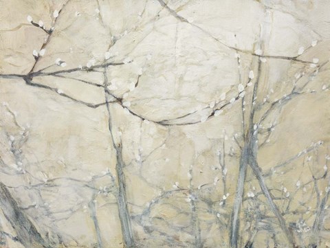 Framed Budding Pussy Willow Print