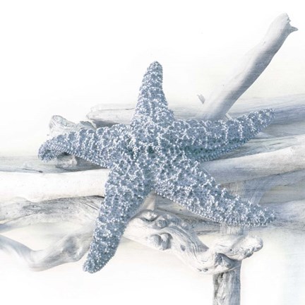 Framed Starfish Beach 5 V3 Print