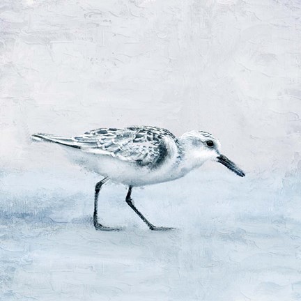 Framed Sandpiper 1 Print