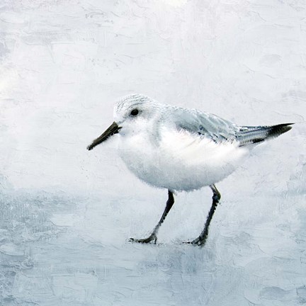 Framed Sandpiper 2 Print