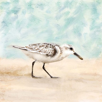 Framed Sandpiper Walk 1 Print