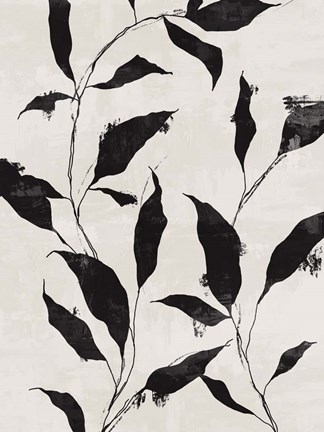 Framed Noir Botanical II Print