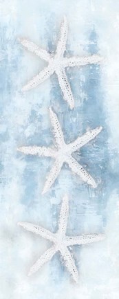 Framed Starfish Panel Print