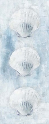 Framed Sea Shells Print