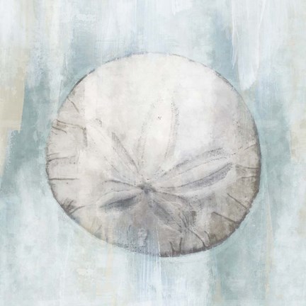 Framed Sand Dollar Print