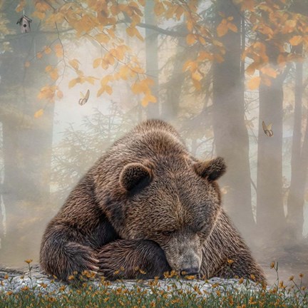 Framed Autumn Slumber Print