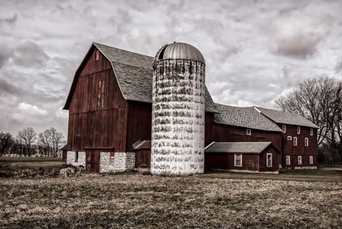 Framed Big Red Print