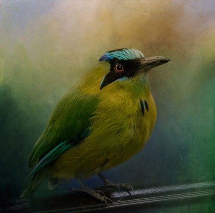 Framed Colorful Charmer Print