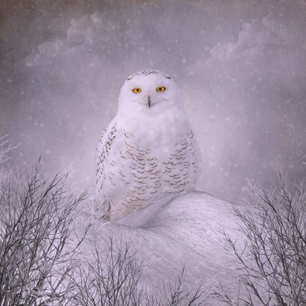 Framed Winter Wonderland Print