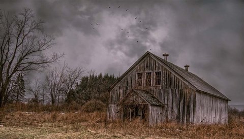 Framed Overtaken by Time Print