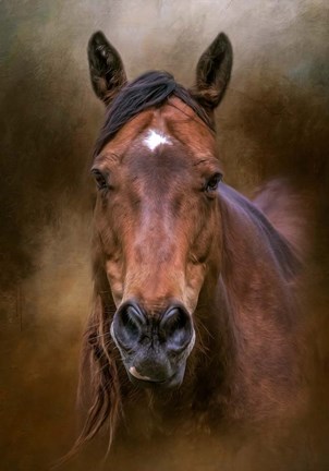 Framed Country Heart Print