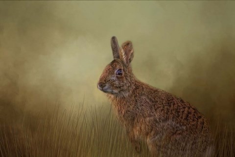 Framed Awakening Print