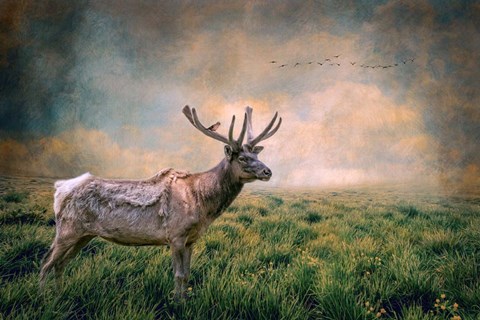 Framed Lone Leader Print