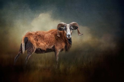 Framed Focused on You Print