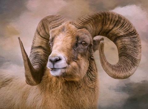 Framed Mountain Dweller Print