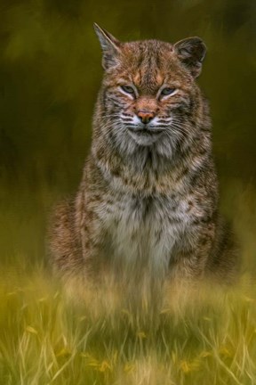 Framed Standing Watch Print