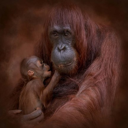 Framed Mother&#39;s Love Print