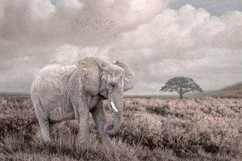 Framed Time to Move On Print