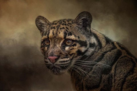 Framed Locked On Print