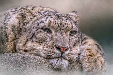 Framed Time Out Print