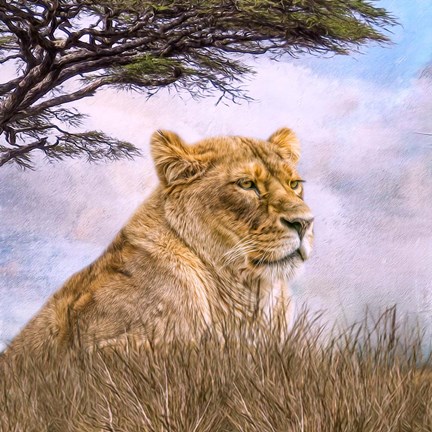 Framed Pride of Place Print