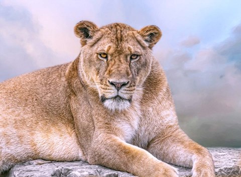 Framed Soothing Rest Print