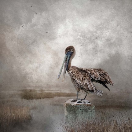Framed Visitor to the Marshes Print