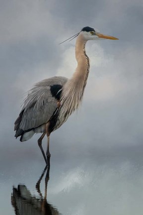 Framed Personal Reflection Print