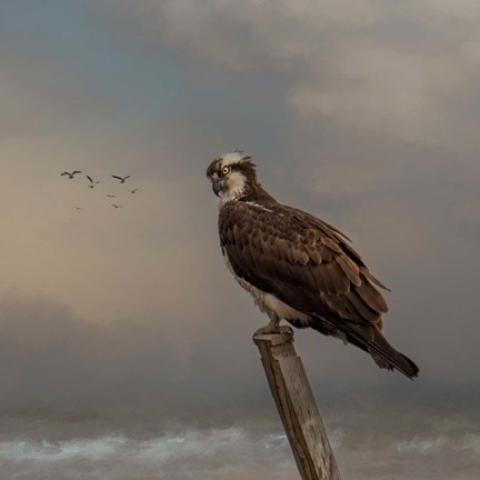 Framed Against the Storm Print