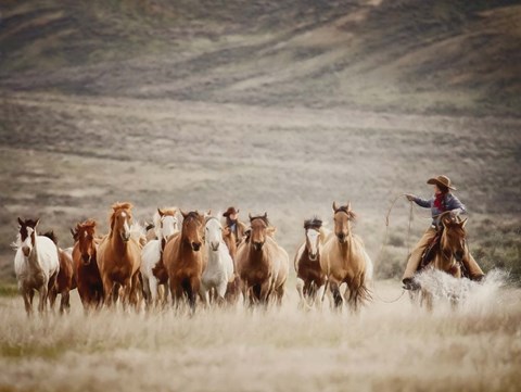 Framed Bringing the Remuda Print