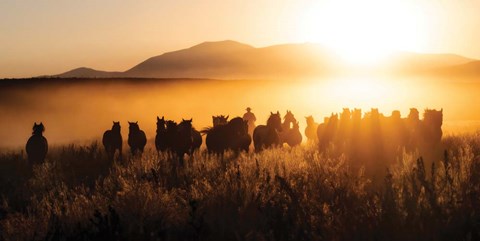 Framed Sunset Run Print