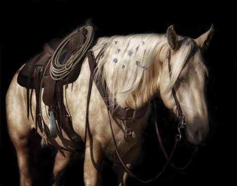 Framed Lavender Print