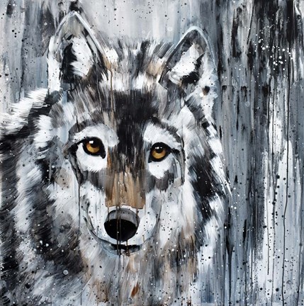 Framed Golden Eye Wolf Print