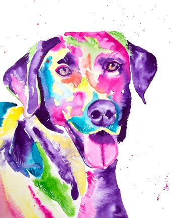 Framed Colorful Black Lab Print