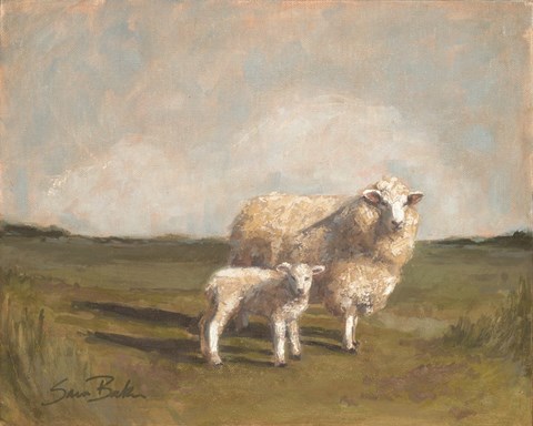 Framed Sheep in the Pasture II Print